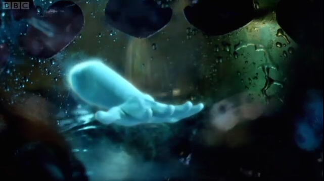 Doctor Who: Curse of the Black Spot #3