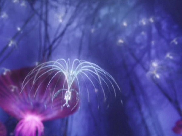 Epic Fail: Andrew Marvell’s Definition of&nbsp;Love