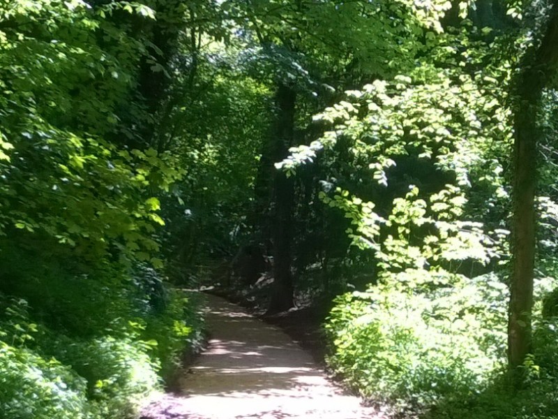 Tonight the Summer’s&nbsp;Over